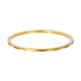 iXXXi | R03901-01 | Vulring Wave 1mm - Maat 17 - GOLD