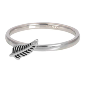 iXXXi | R03512-03 | Symbol Feather 2mm - maat 20 - ZILVER