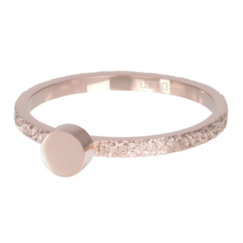 iXXXi | R06306-02 | Vulring Abstract Circle 2mm - maat 20 - ROSÉ GOLD