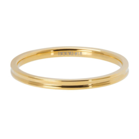 iXXXi | R02302-01 | Vulring Small Ribbed 2 mm - Maat 17 - GOUD