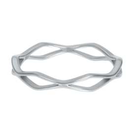 iXXXi | R06403-03 | Vulring Modern 4mm - maat 17 - SILVER