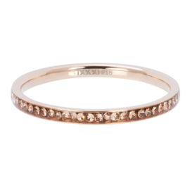 iXXXi | R02503-02 | Vulring Zirconia Champagne 2mm - maat 18 - ROSÉ GOLD