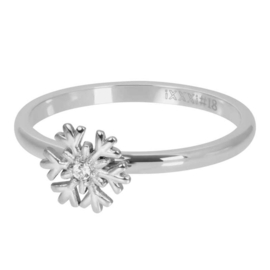 iXXXi | R06105-03 | Vulring Snowflake 2mm - maat 17 - SILVER