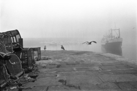 Circle of Time, Flying Free 1982