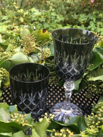 Waterglas/ whiskyglas EWA - dark grey