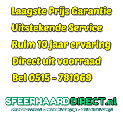Sfeerhaard direct de beste elektrische haarden Sfeerhaard direct de beste elektrische haarden