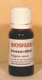 bosaardbei tinctuur 10ml