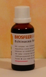 Echinacea force tinctuur 100ml