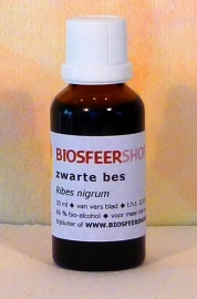 zwarte bes tinctuur 30ml