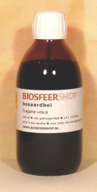 bosaardbei tinctuur 250ml