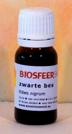 zwarte bes tinctuur 10ml