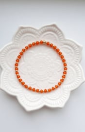 Label ZeeV armbandje elastiek preciosia oranje