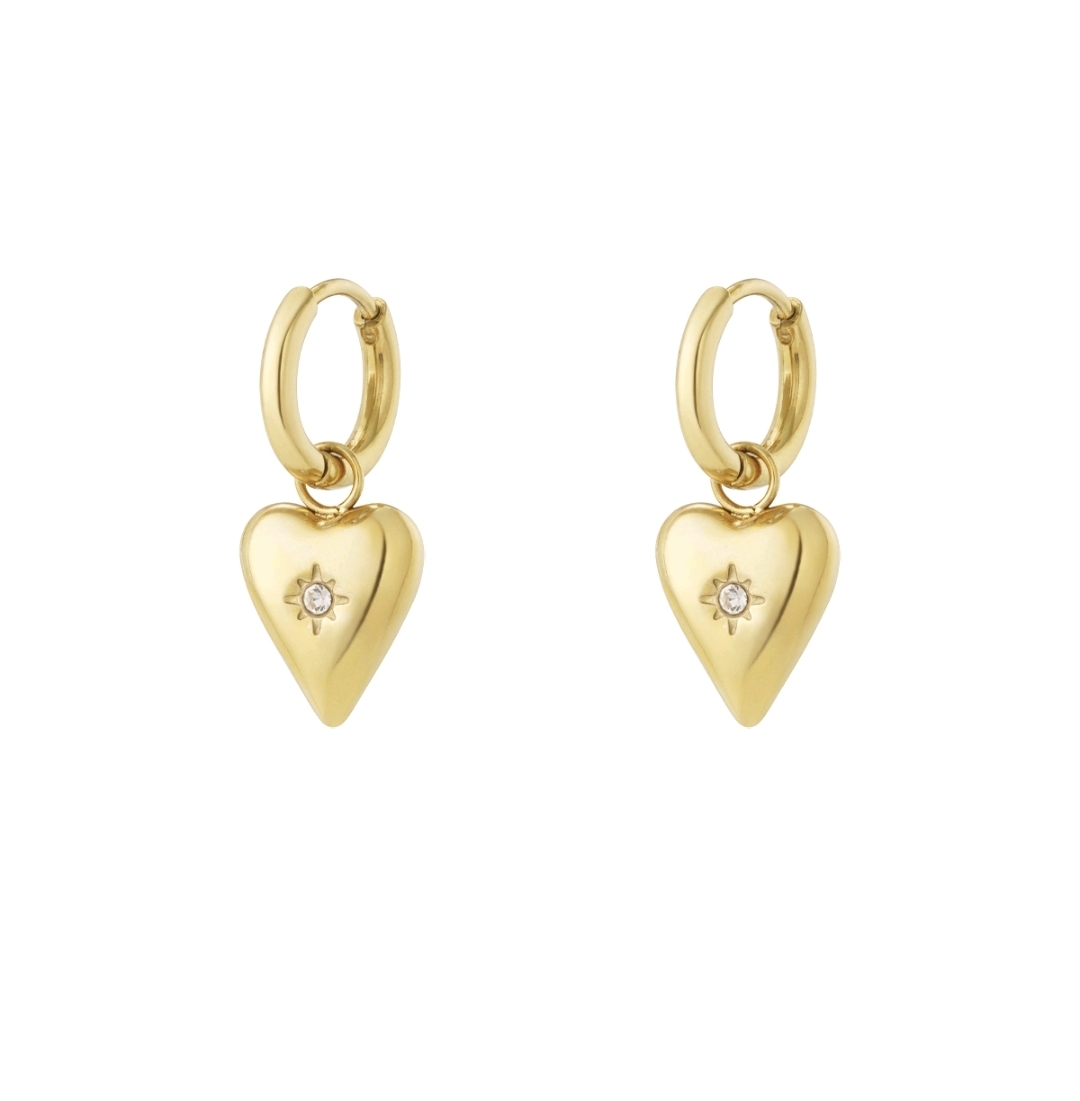 Label ZeeV oorbellen RVS hartje met strass