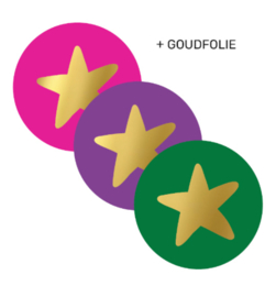 Stickers kleur ster | 10 stuks