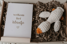 Brievenbus pakket "Welkom lief kleintje" | keuze uit gansje of maantje