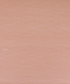 Kadopapier Tinne and Mia hairliness orange | 2 meter