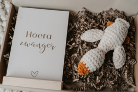 Brievenbus pakket "hoera zwanger met gansje"