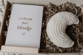 Brievenbus pakket "Welkom lief kleintje" | keuze uit gansje of maantje