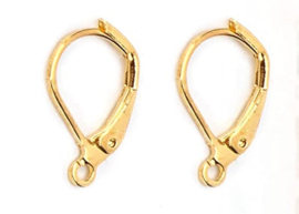 Oorbelhaakjes (per paar) 16mm oorbellen Goud RVS Stainless Steel - DIY - loodvrij allergievrij