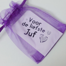 Liefste Juf  cadeau - IT TAKES A BIG HEART TO TEACH LITTLE MINDS - cadeau school leerkracht kinderdagverblijf - met kaartje en zakje.