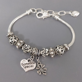 Pandora Style Bedelarmband voor Someone Special (speciaal persoon) en 2 stoppers - in 5 kleuren