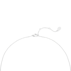 Ketting palmboom zilver