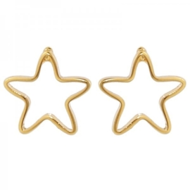 Oorbellen ster goud