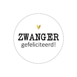 Stickers zwanger gefeliciteerd | 20 stuks