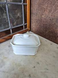 Witte botervloot apilco france