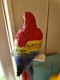 Porseleinen ara papegaaien beeld op schommel