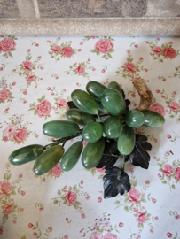 Groen edelstenen druiventros