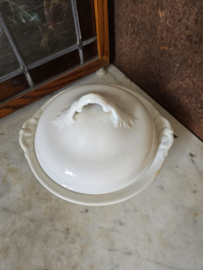 Dekschaal petrus regout nr3