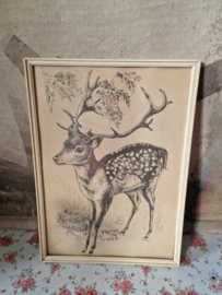 Vintage prent hert in houten lijst