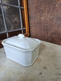 Witte botervloot apilco france