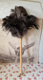 Struisvogel veren plumeau