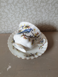 Royal albert heren kop en schotel "blue jay"