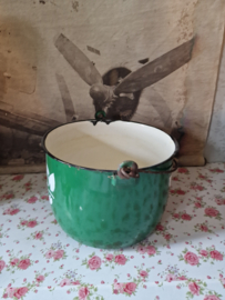 Groen emaille pot bloemen