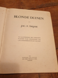 Oud plaatjesalbum blonde duinen 1910
