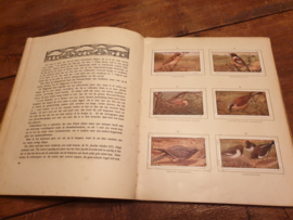 Oud plaatjesalbum blonde duinen 1910