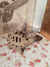 Gietijzeren schildpad