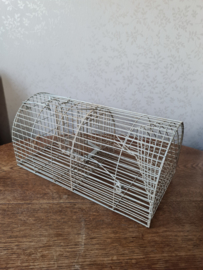 Oude vangkooi ratten