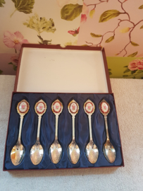 Set van zes brocante verzilverde lepeltjes porseleinen roosjes in origineel doosje