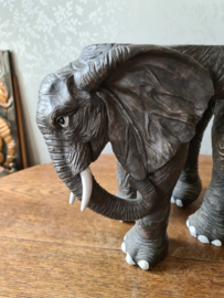 Plantentafel tafeltje olifant