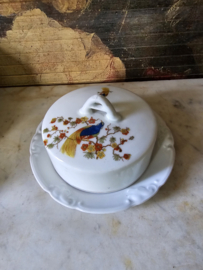 Porseleinen botervloot paradijsvogel