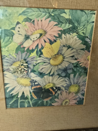 Oude bloemen vlinder prent in houten lijst