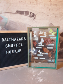 Vintage kijk vitrine opgezette vlinders bos en hei