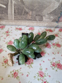 Groen edelstenen druiventros