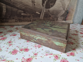 Oud doorleefd blik lonka reigers