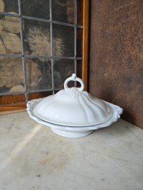 Dekschaal wellington petrus regout servies