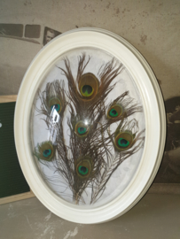 Wit brocante ovale bolglas lijst met pauwen veren